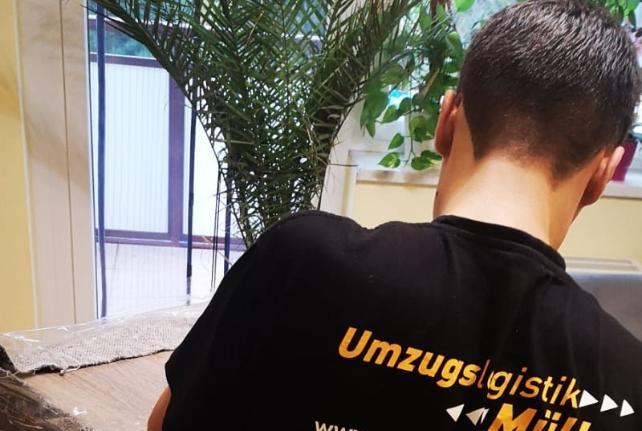 Laborumzug Dennheritz stressfrei umziehen 